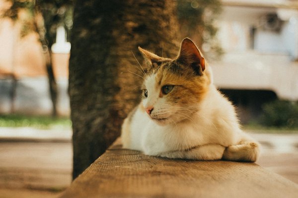 How can UK businesses improve their customer engagement strategies?